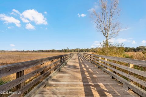 Tiny photo for 344 Preservation Point Avenue, Wilmington, NC 28401 (MLS # 100542431)