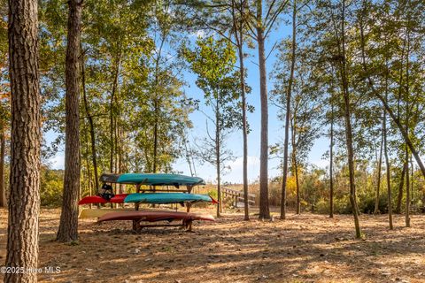 Tiny photo for 344 Preservation Point Avenue, Wilmington, NC 28401 (MLS # 100542431)