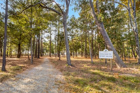 Tiny photo for 344 Preservation Point Avenue, Wilmington, NC 28401 (MLS # 100542431)