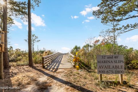 Tiny photo for 344 Preservation Point Avenue, Wilmington, NC 28401 (MLS # 100542431)