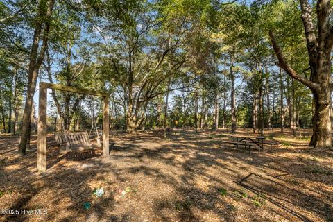 Tiny photo for 344 Preservation Point Avenue, Wilmington, NC 28401 (MLS # 100542431)