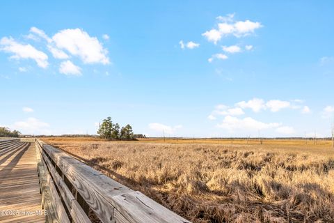 Tiny photo for 344 Preservation Point Avenue, Wilmington, NC 28401 (MLS # 100542431)