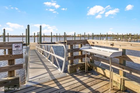 Tiny photo for 344 Preservation Point Avenue, Wilmington, NC 28401 (MLS # 100542431)