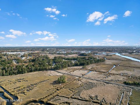 Tiny photo for 344 Preservation Point Avenue, Wilmington, NC 28401 (MLS # 100542431)