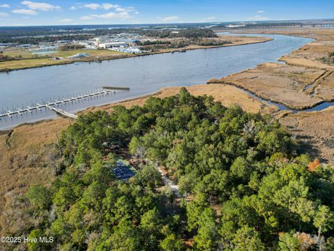 Tiny photo for 344 Preservation Point Avenue, Wilmington, NC 28401 (MLS # 100542431)