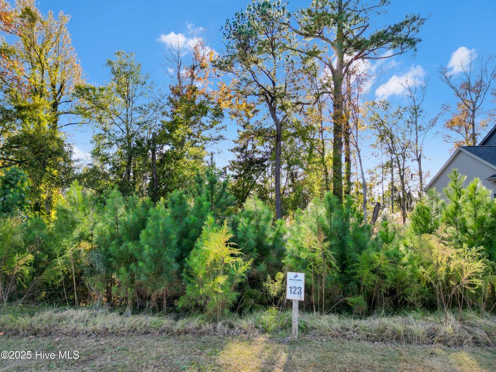 Photo of 344 Preservation Point Avenue, Wilmington, NC 28401 (MLS # 100542431)