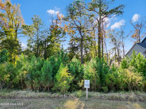 Photo of 344 Preservation Point Avenue, Wilmington, NC 28401 (MLS # 100542431)