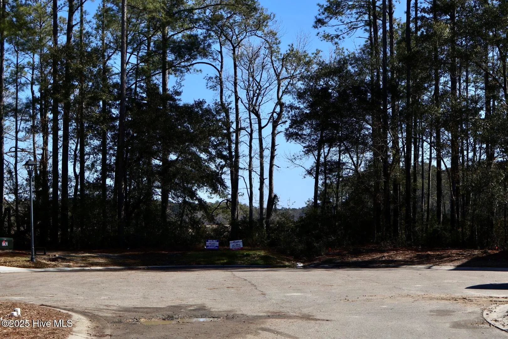 Bolivia, North Carolina 28422, United States, ,Land,Active,12506