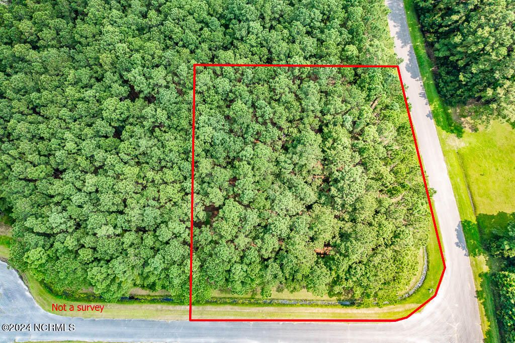 Photo of 880 Arant Farm Road, Merritt, NC 28556 (MLS # 100491997)