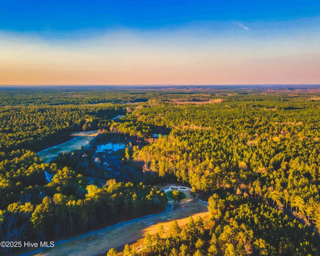 Photo of 11 Peach Orchard Road, Wagram, NC 28396 (MLS # 100538550)
