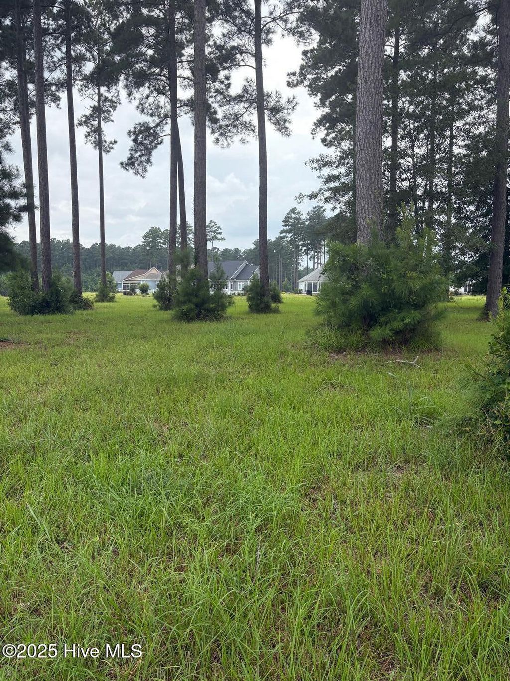 Photo of 2808 Waterleaf Point, New Bern, NC 28562 (MLS # 100524242)