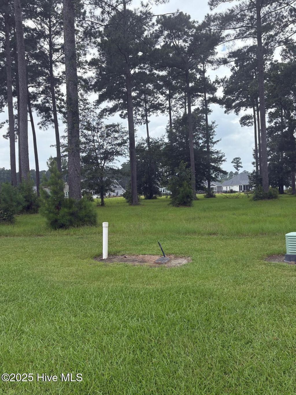 Photo of 2808 Waterleaf Point, New Bern, NC 28562 (MLS # 100524242)