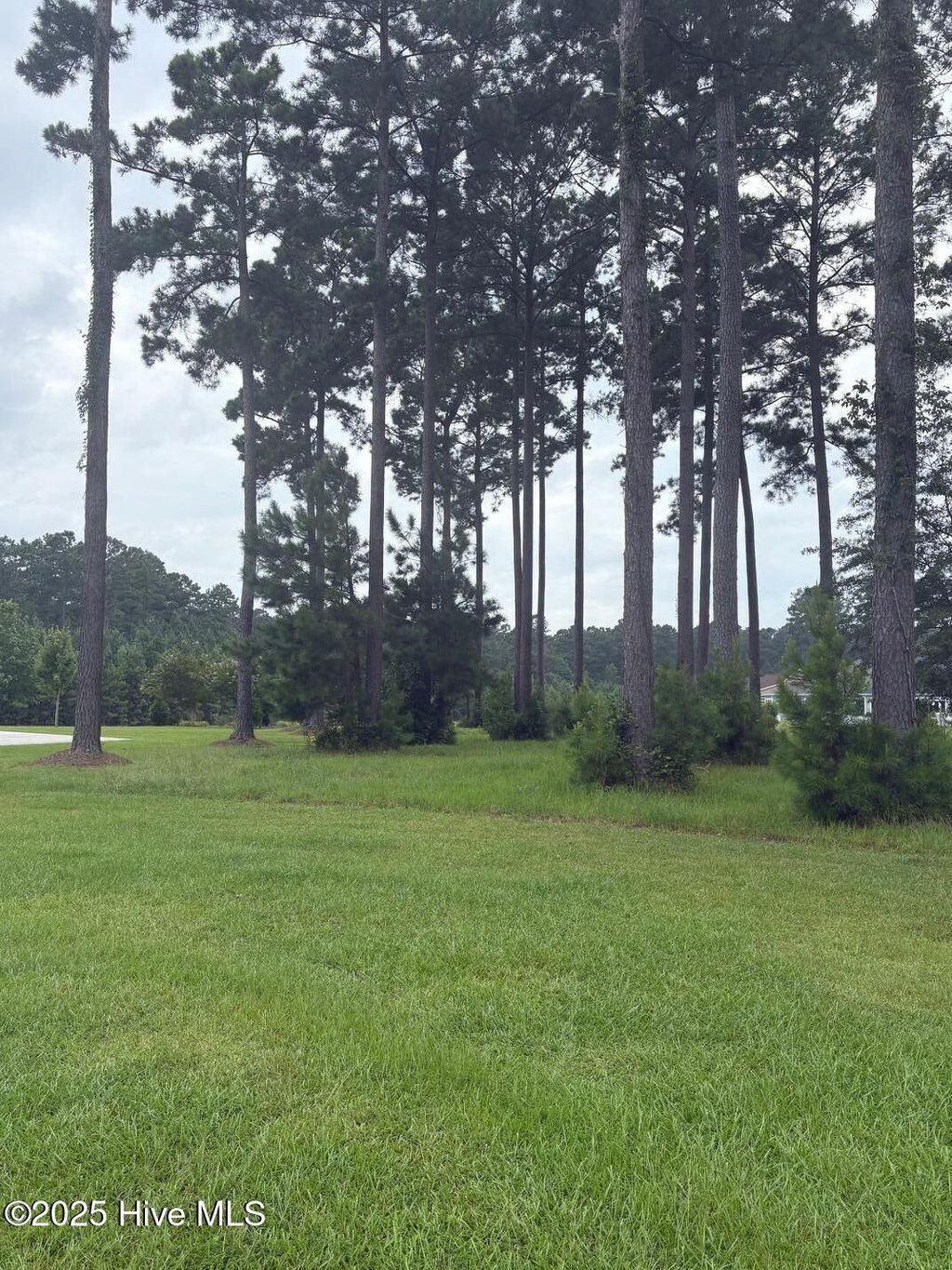 Photo of 2808 Waterleaf Point, New Bern, NC 28562 (MLS # 100524242)