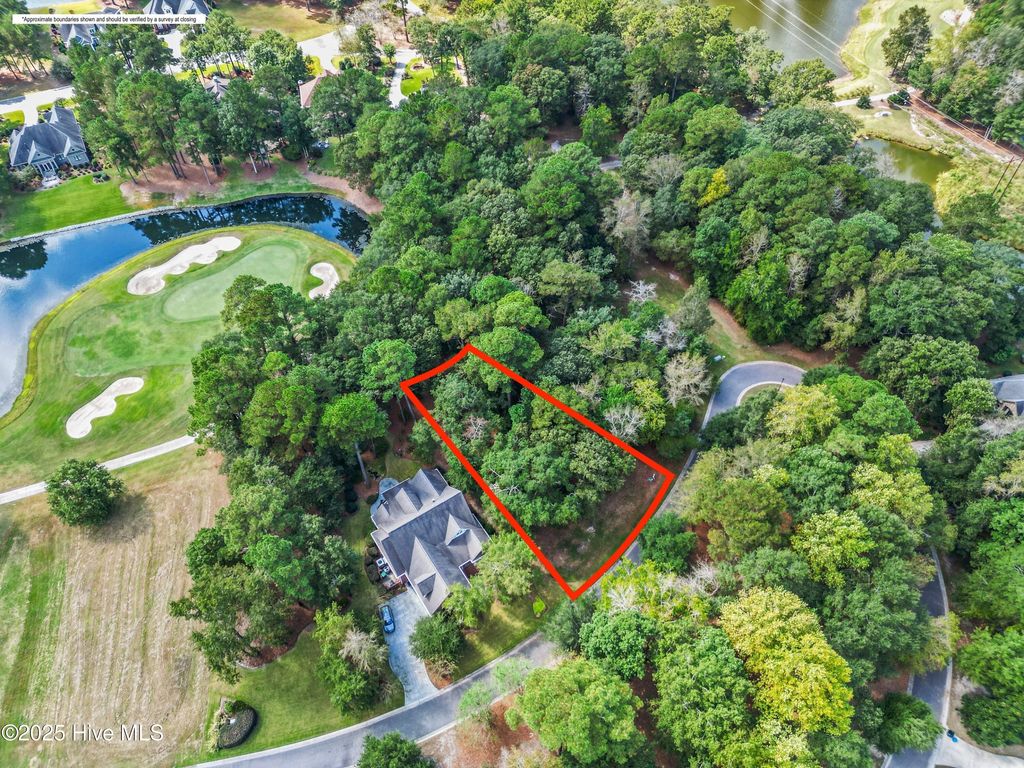 Photo of 205 Legacy Woods Drive, Wallace, NC 28466 (MLS # 100533055)