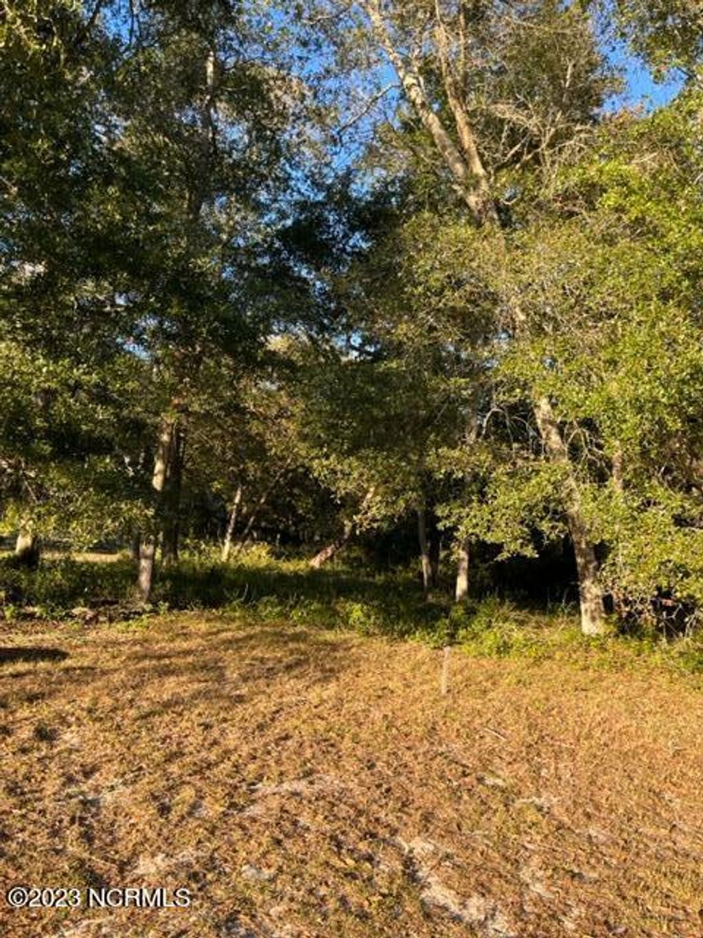 Photo of 1820 Heron Watch Drive SW, Supply, NC 28462 (MLS # 100479757)