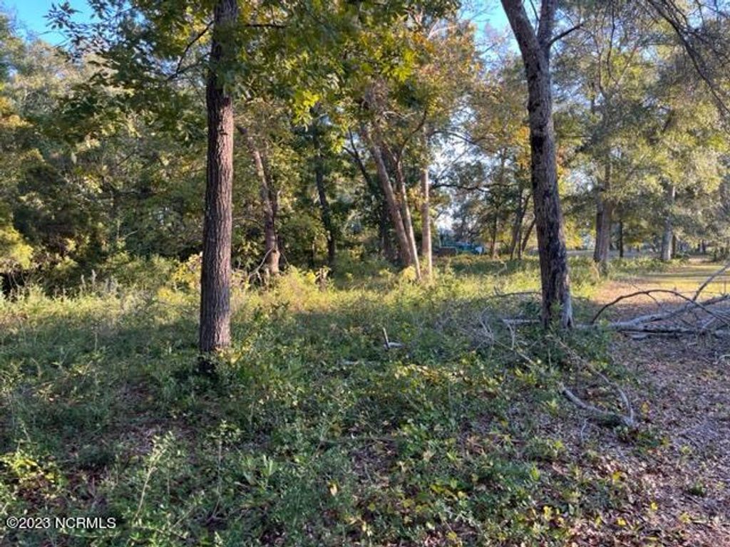 Photo of 1820 Heron Watch Drive SW, Supply, NC 28462 (MLS # 100479757)