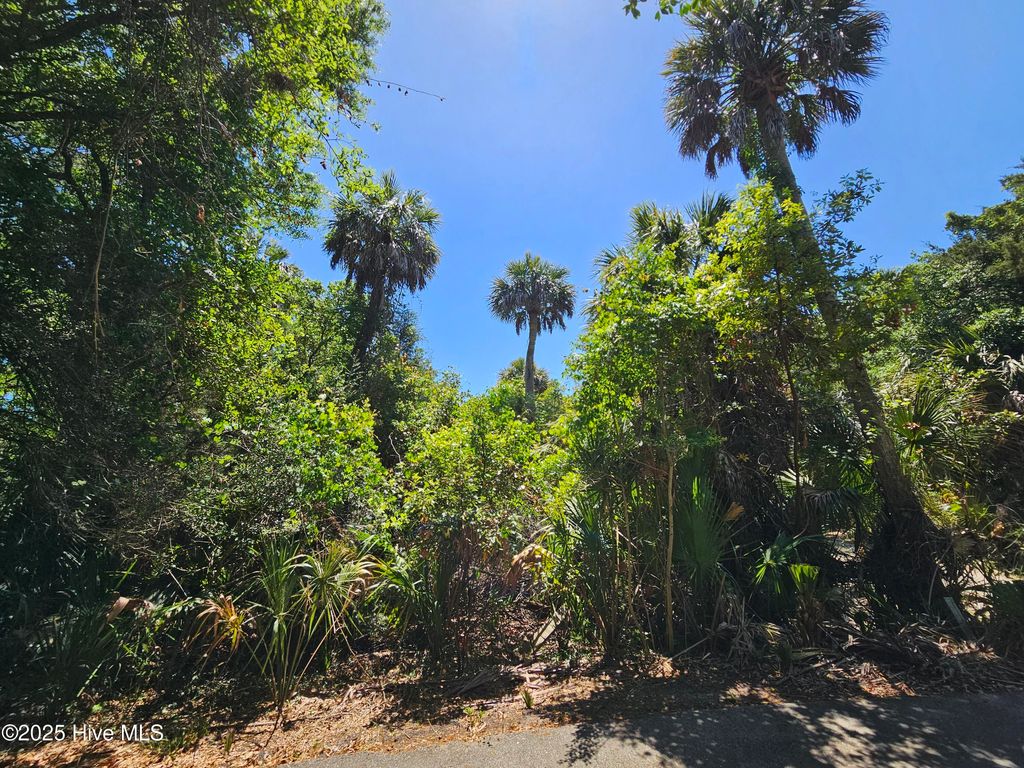 Photo of 30 Sabal Palm Trail, Bald Head Island, NC 28461 (MLS # 100504744)