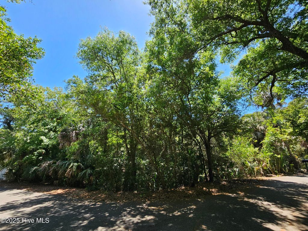 Photo of 30 Sabal Palm Trail, Bald Head Island, NC 28461 (MLS # 100504744)