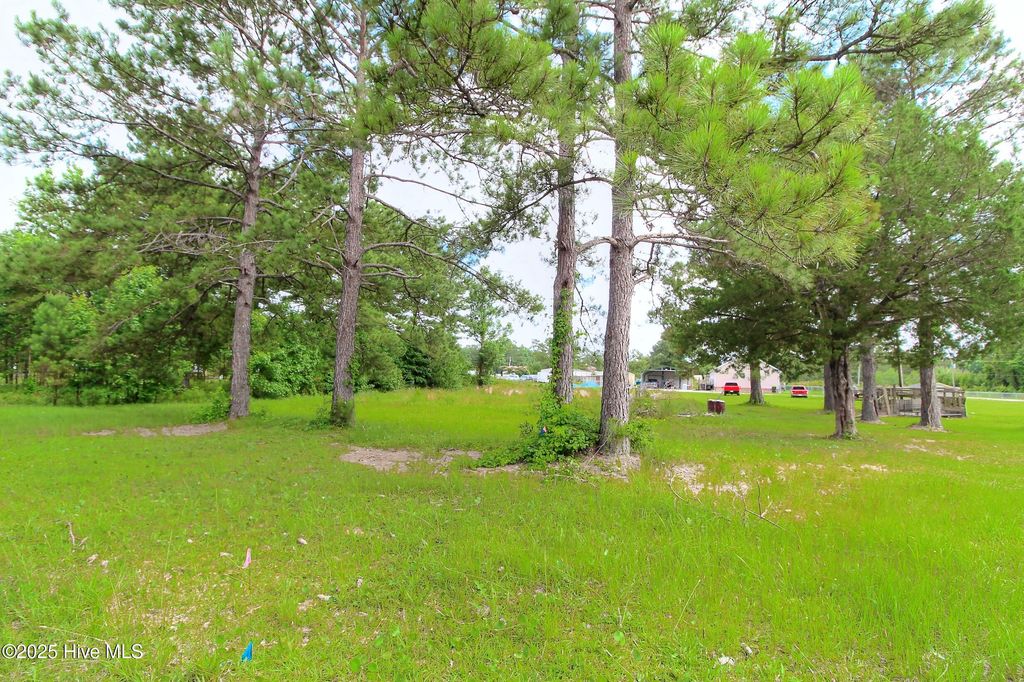 Photo of 455 Candlewood Court SE, Bolivia, NC 28422 (MLS # 100513596)