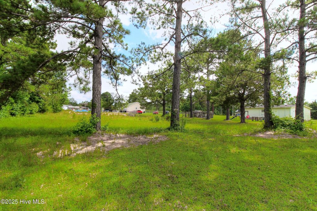 Photo of 455 Candlewood Court SE, Bolivia, NC 28422 (MLS # 100513596)