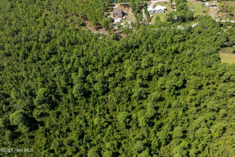 Tiny photo for 62 Milo Lane, Holly Ridge, NC 28445 (MLS # 100529237)