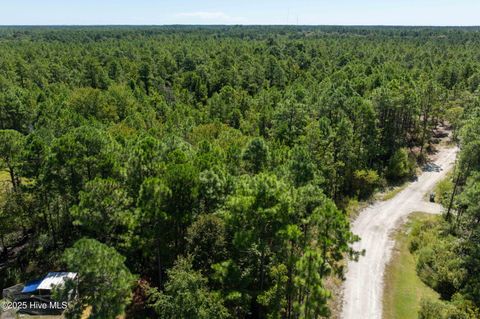 Tiny photo for 62 Milo Lane, Holly Ridge, NC 28445 (MLS # 100529237)