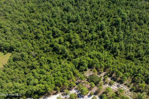 Tiny photo for 62 Milo Lane, Holly Ridge, NC 28445 (MLS # 100529237)