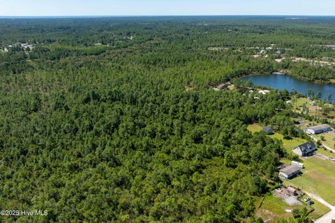 Tiny photo for 62 Milo Lane, Holly Ridge, NC 28445 (MLS # 100529237)