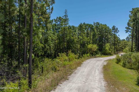 Tiny photo for 62 Milo Lane, Holly Ridge, NC 28445 (MLS # 100529237)