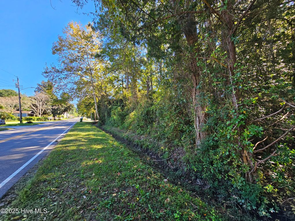 Photo of 4 White Avenue, Wilmington, NC 28403 (MLS # 100537073)