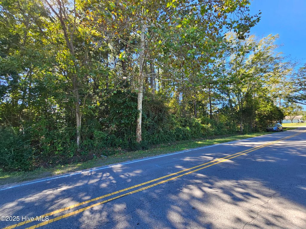 Photo of 4 White Avenue, Wilmington, NC 28403 (MLS # 100537073)