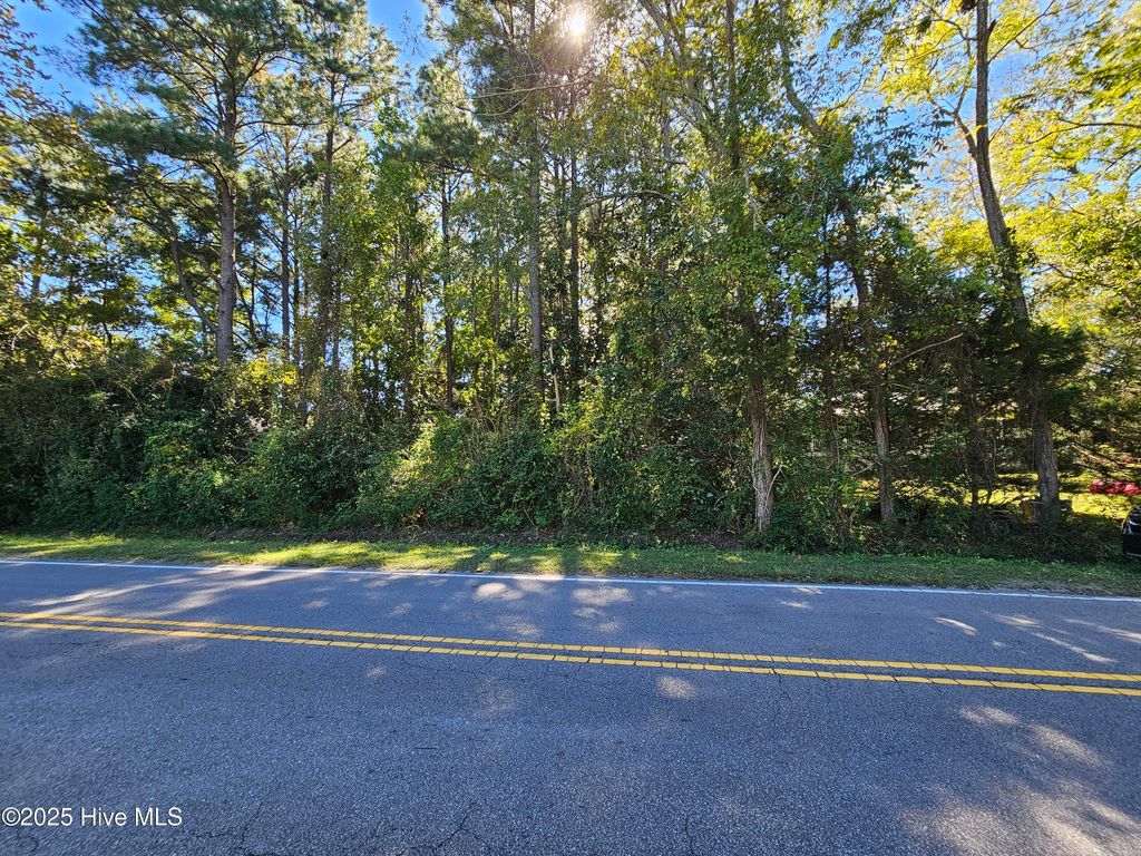 Photo of 4 White Avenue, Wilmington, NC 28403 (MLS # 100537073)