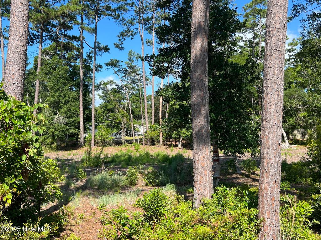 Photo of 2615 Bellamy Drive, Supply, NC 28462 (MLS # 100520149)