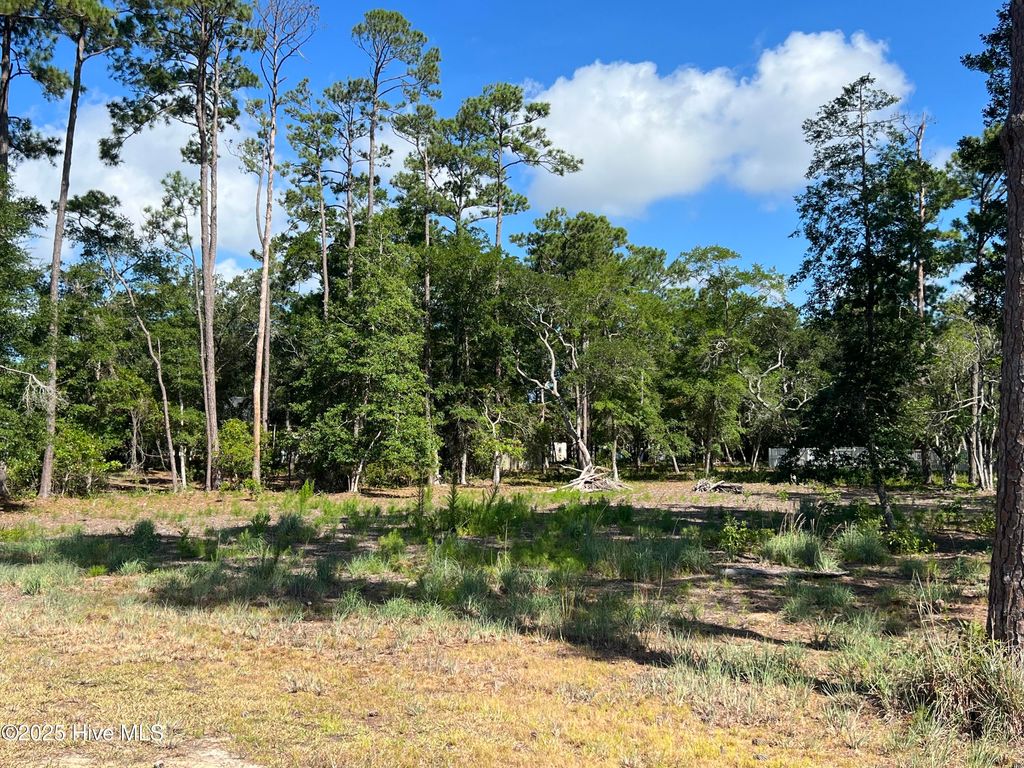 Photo of 2615 Bellamy Drive, Supply, NC 28462 (MLS # 100520149)