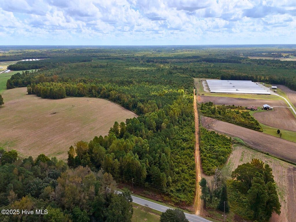 Photo of 0 Nc 11 Highway, Kenansville, NC 28349 (MLS # 100535542)
