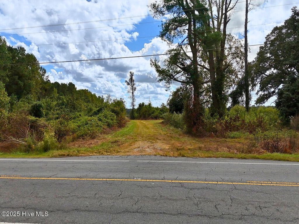 Photo of 0 Nc 11 Highway, Kenansville, NC 28349 (MLS # 100535542)