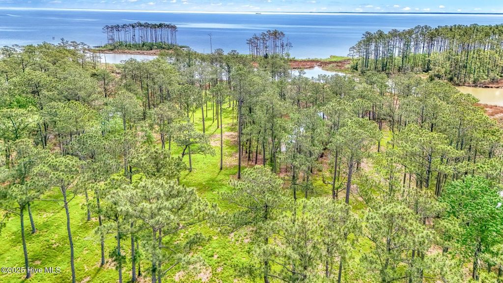 Photo of 203 River Watch Road, Oriental, NC 28571 (MLS # 100418560)