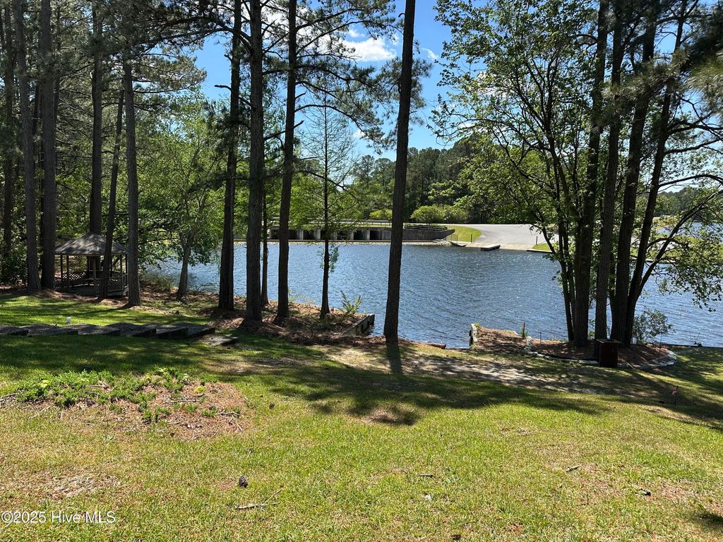 Photo of 443 Dogwood Trail, Goldsboro, NC 27534 (MLS # 100451944)