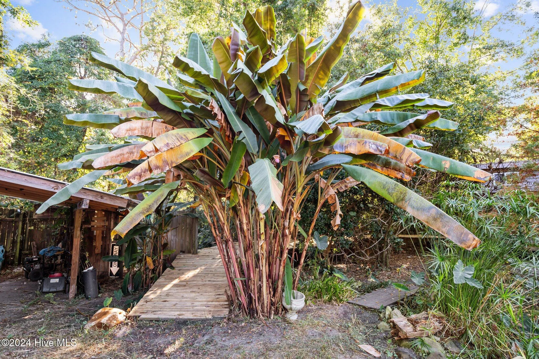 Wilmington, North Carolina 28401, United States, 3 Bedrooms Bedrooms, ,1 BathroomBathrooms,Residential,Pending,17590