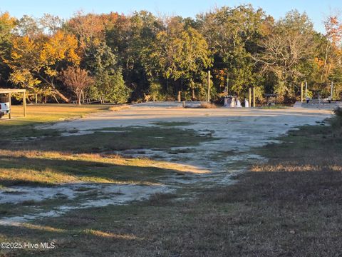 Tiny photo for 113 Mallard Drive, Hampstead, NC 28443 (MLS # 100541975)