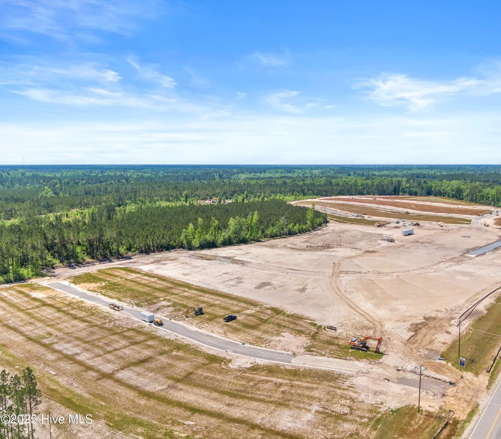Photo of 1094 Hanson Drive, Leland, NC 28451 (MLS # 100525025)