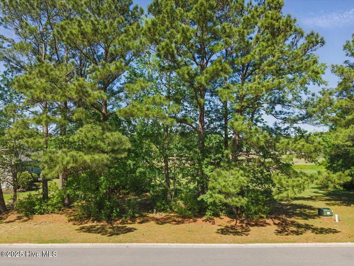 Calabash, North Carolina 28467, United States, ,Land,Pending,111396
