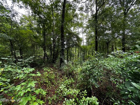 Tiny photo for 9 Mallard Roost Drive, Burgaw, NC 28425 (MLS # 100524705)