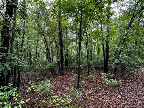 Tiny photo for 9 Mallard Roost Drive, Burgaw, NC 28425 (MLS # 100524705)