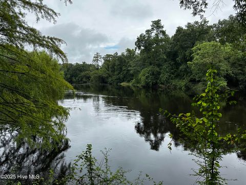 Tiny photo for 9 Mallard Roost Drive, Burgaw, NC 28425 (MLS # 100524705)