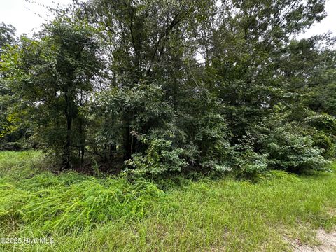 Tiny photo for 9 Mallard Roost Drive, Burgaw, NC 28425 (MLS # 100524705)