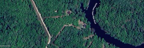 Tiny photo for 9 Mallard Roost Drive, Burgaw, NC 28425 (MLS # 100524705)