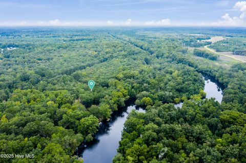 Tiny photo for 9 Mallard Roost Drive, Burgaw, NC 28425 (MLS # 100524705)