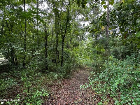 Tiny photo for 9 Mallard Roost Drive, Burgaw, NC 28425 (MLS # 100524705)