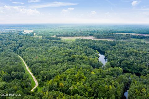 Tiny photo for 9 Mallard Roost Drive, Burgaw, NC 28425 (MLS # 100524705)